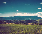 ddos攻击测试工具